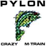 Pylon – Crazy / M-Train